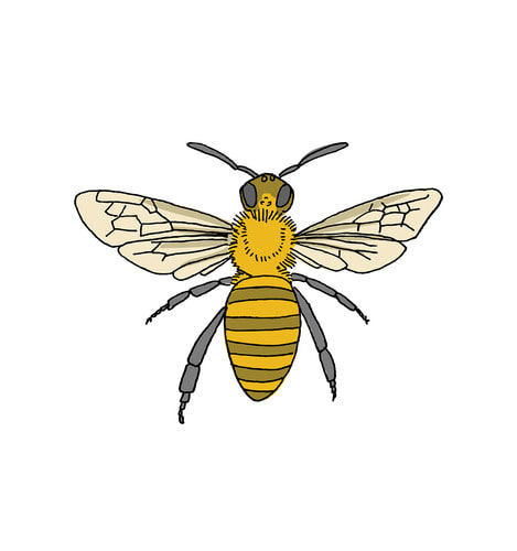 태틀리 Honey Bee 타투스티커 페어 2매