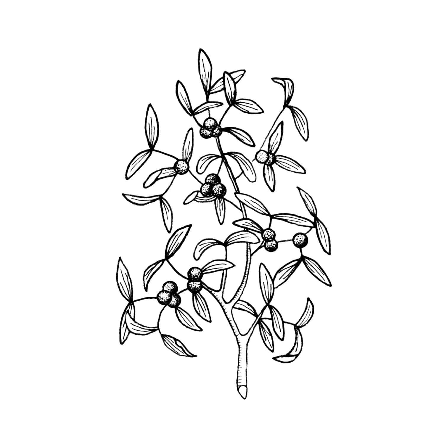 [Tattly] Mistletoe Pairs