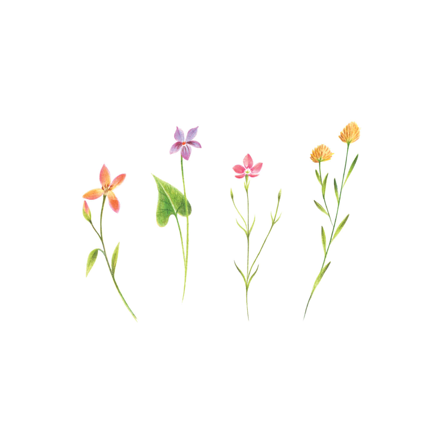 태틀리 Petite Florals 타투스티커 페어 2매