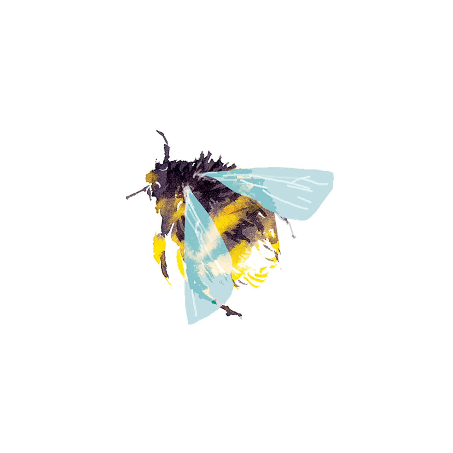 태틀리 Bumblebee 타투스티커 페어 2매