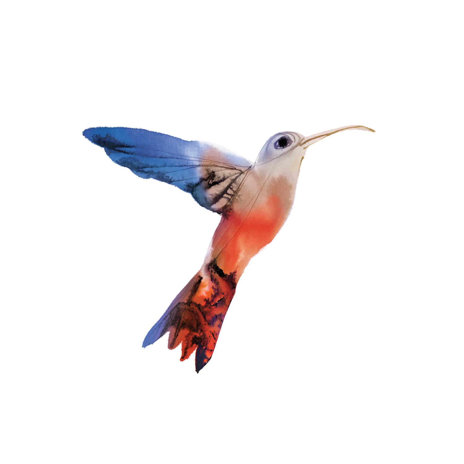 태틀리 Watercolor Hummingbird 타투스티커 페어 2매