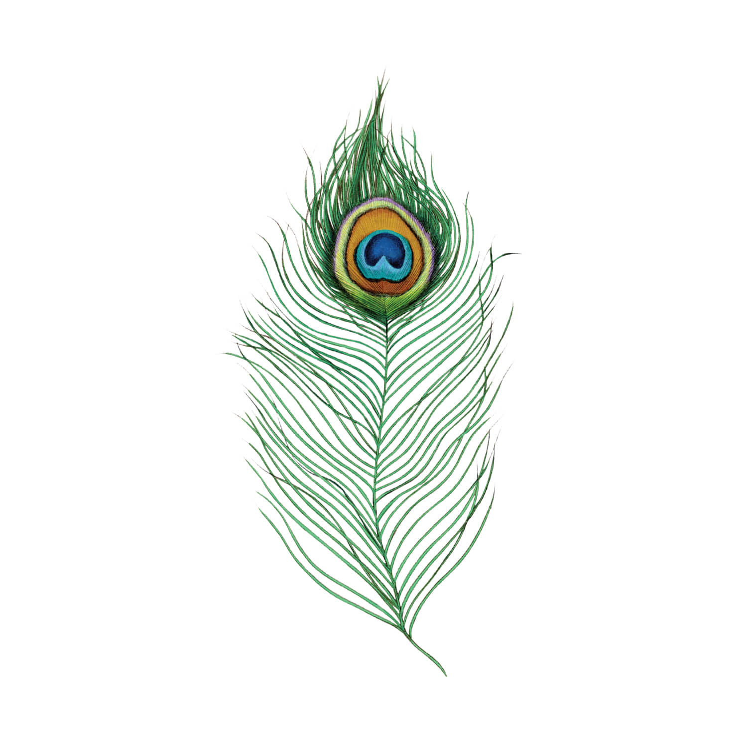 태틀리 Peacock Feather 타투스티커 페어 2매
