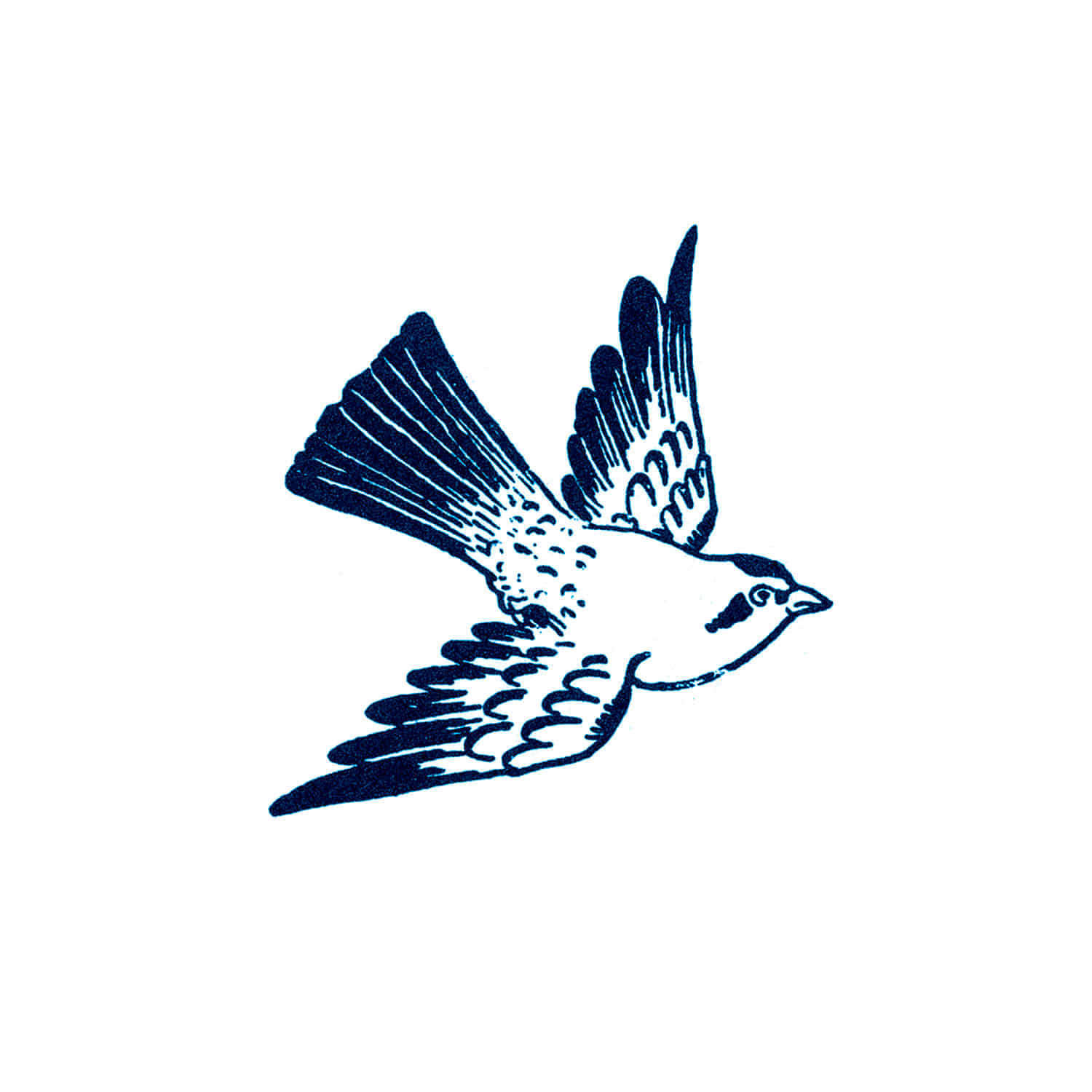 태틀리 Cartolina Bird 타투스티커 페어 2매