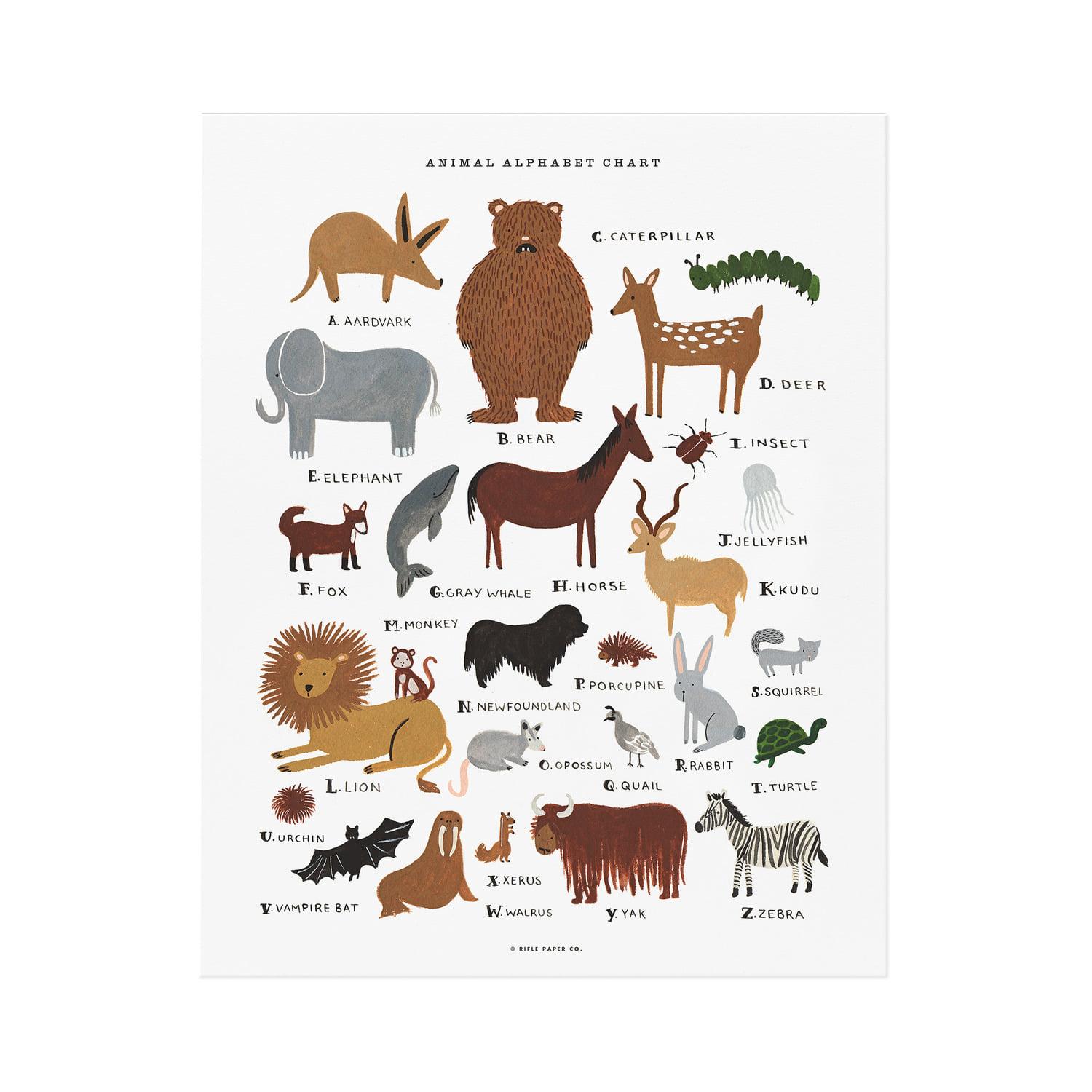 라이플페이퍼 Animal Alphabet Chart 아트 프린트 2 size