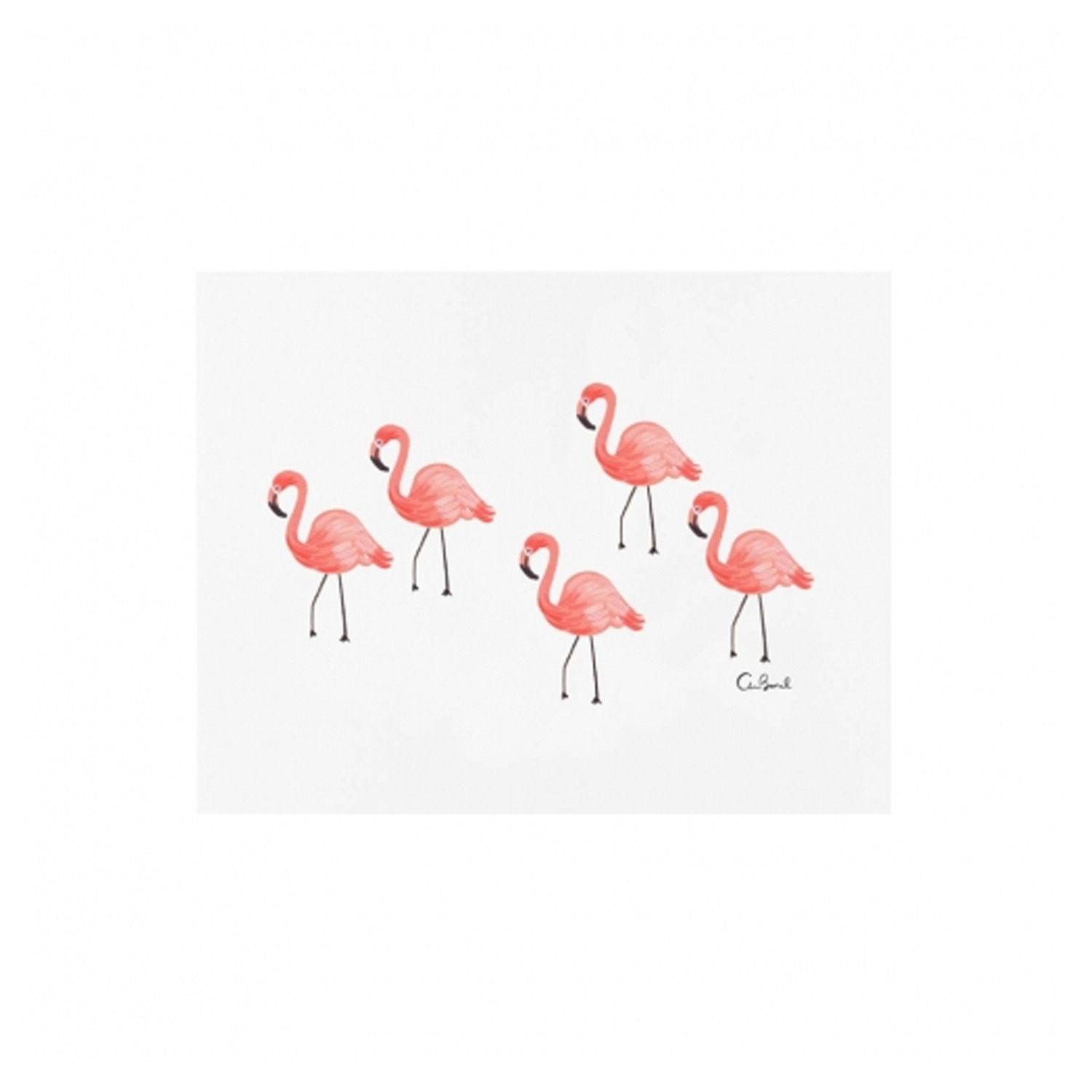 라이플페이퍼 Flamingo 아트 프린트 8 x 10