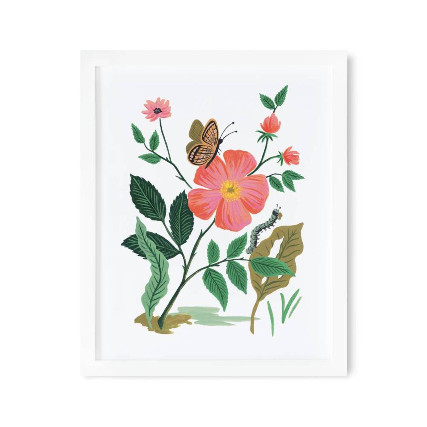 라이플페이퍼 Garden Rose 아트 프린트 8 x 10