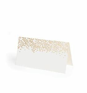 [Rifle Paper Co.] Champagne Place Card