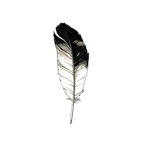 [Tattly] Eagle Feather Pairs