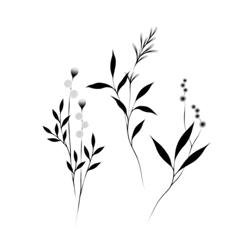 [Tattly] Botanicals Pairs