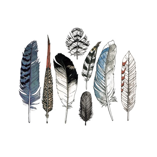 [Tattly] Watercolor Feather Set