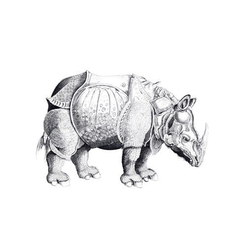 태틀리 The Rhinoceros 타투스티커 페어 2매