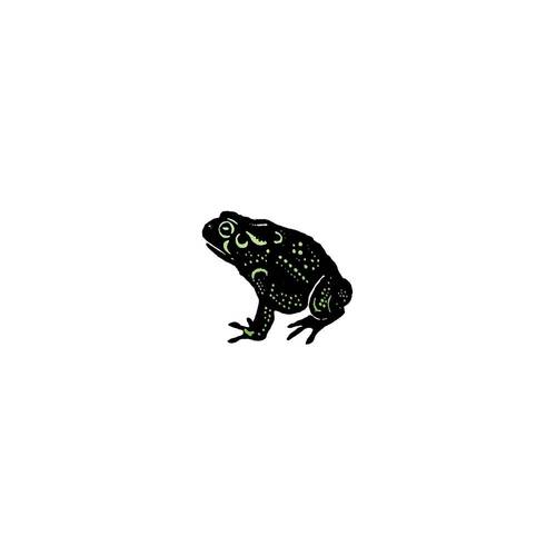 태틀리 Speckled Foil Frog 야광 타투스티커 페어 2매