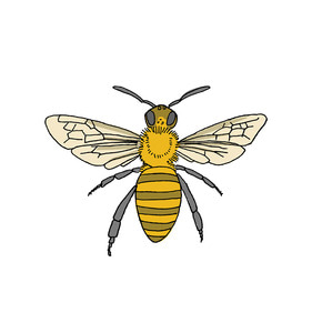 [Tattly] Honey Bee Pairs