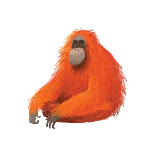 태틀리 Orangutan 타투스티커 페어 2매