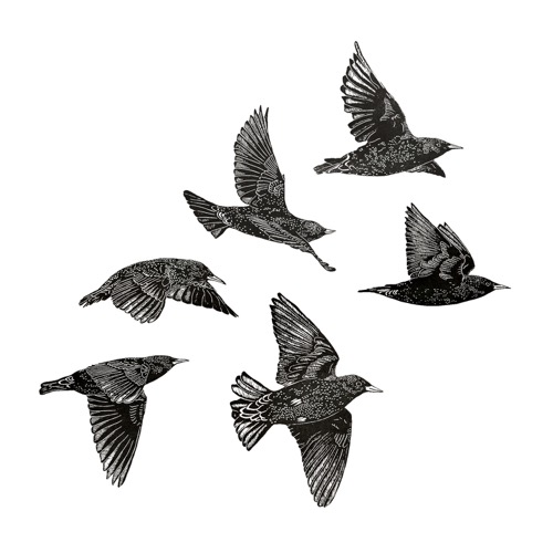 태틀리 European Starlings 타투스티커 시트 2매