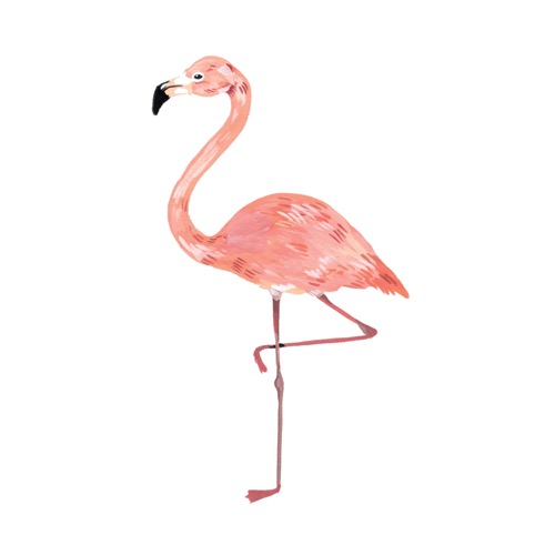 태틀리 Flamingo 타투스티커 페어 2매